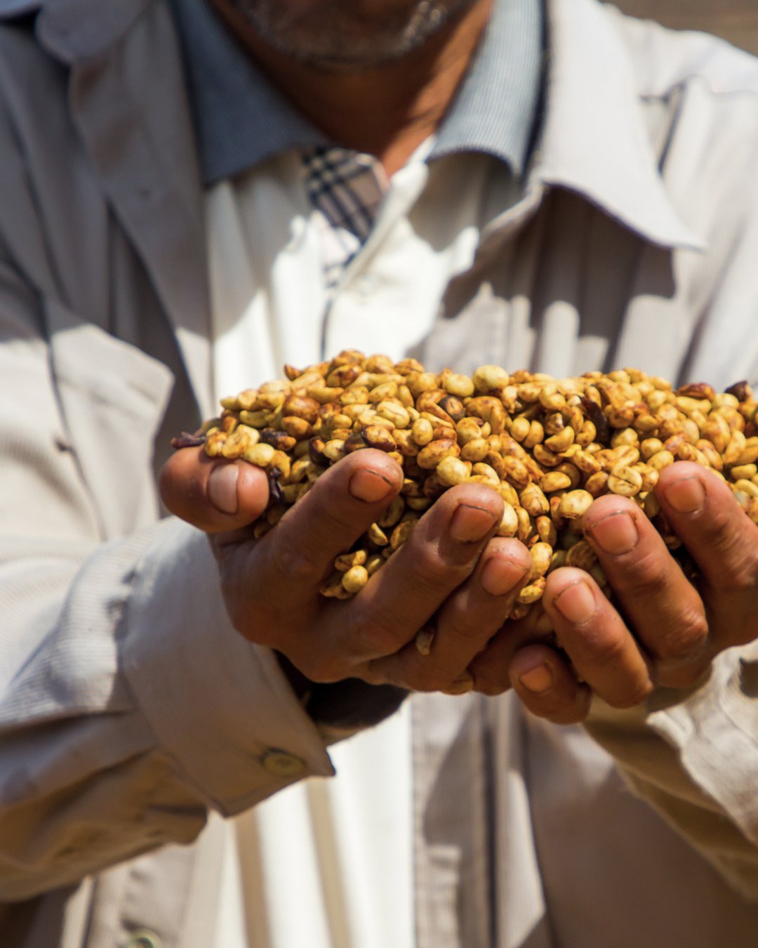 Coffee producer holding freshly harvested coffee beans, Cup of Excellence partner